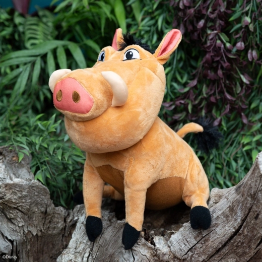 Επίσημη εμφάνιση DISNEY και πιστές λεπτομέρειες