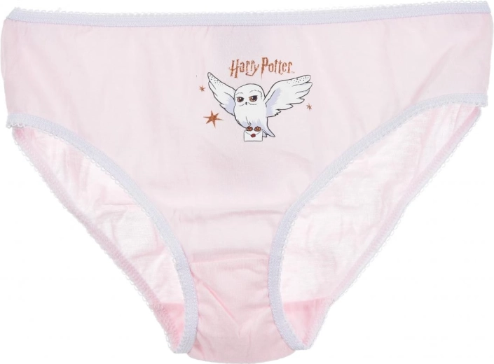 Αδειοδοτημένο θέμα Harry Potter