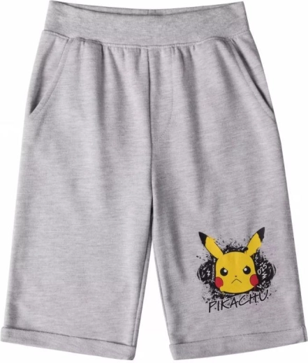 Γκρι βερμούδες Pokémon