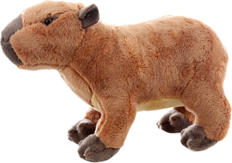 Ασφαλές από τη γέννηση