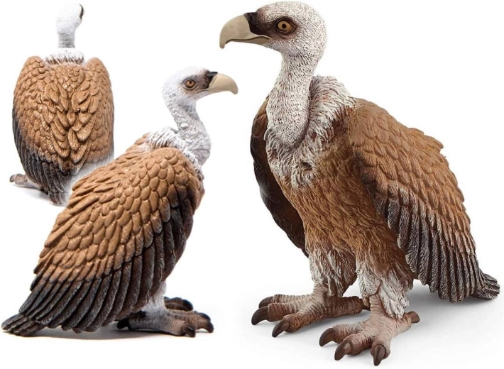 Schleich γυπαετός με λευκό κεφάλι – φιγούρα Wild Life