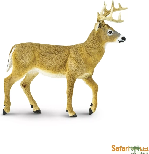 Jelenec λευκοουράς Safari Ltd.