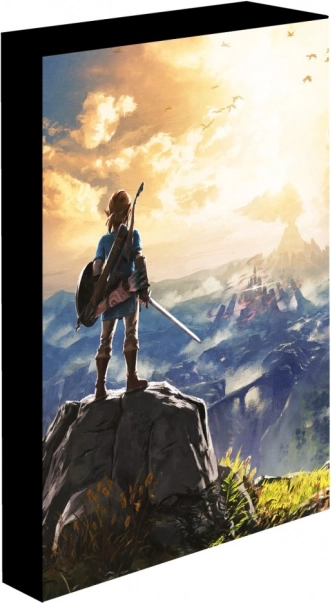 Φωτιζόμενη εικόνα LED 30×40 cm Zelda