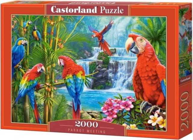 Παζλ 2000 τεμαχίων Parrot Meeting