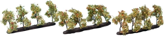 Noch μηλιά με καρπούς 3,5 cm (12 τεμ.)
