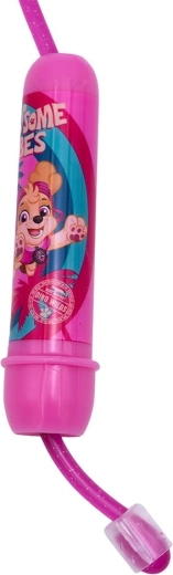 Θέμα Paw Patrol που διασκεδάζει τα παιδιά