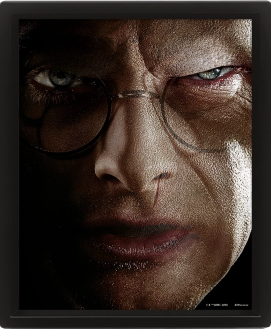 3D εικόνα HARRY POTTER – Harry vs. Voldemort
