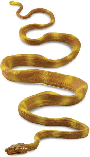 Πσοχλάβετς ορινότσκι (Safari Ltd.)