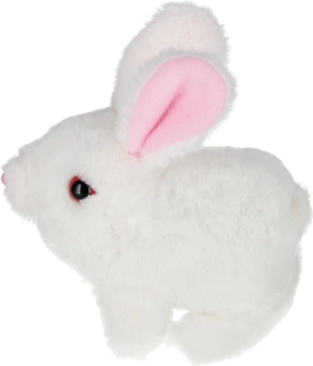 Επιλογή από τρία χρώματα