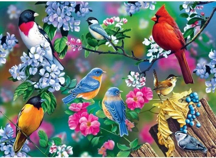 Παζλ Masterpieces Audubon κολάζ ωδικών πτηνών 1000 κομμάτια