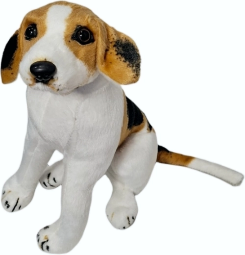 Λούτρινος σκύλος beagle