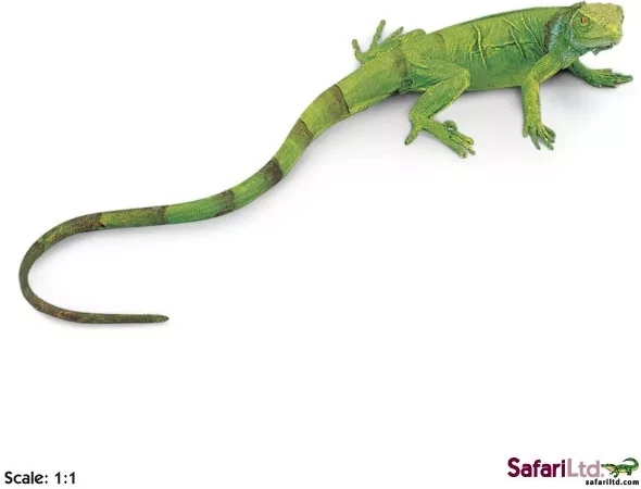 Safari Ltd. νεαρό πράσινο ιγκουάνα - 1 τεμάχιο