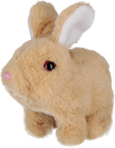 Χαριτωμένες κινήσεις και ήχοι