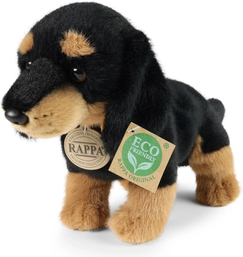 Λούτρινο dachshund Rappa 23 cm