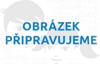 Ξύλινο παζλ Σκύλος 500 κομμάτια