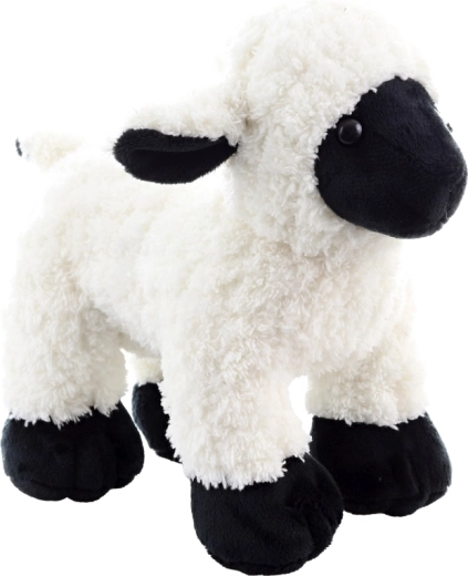 Eco-friendly υλικά