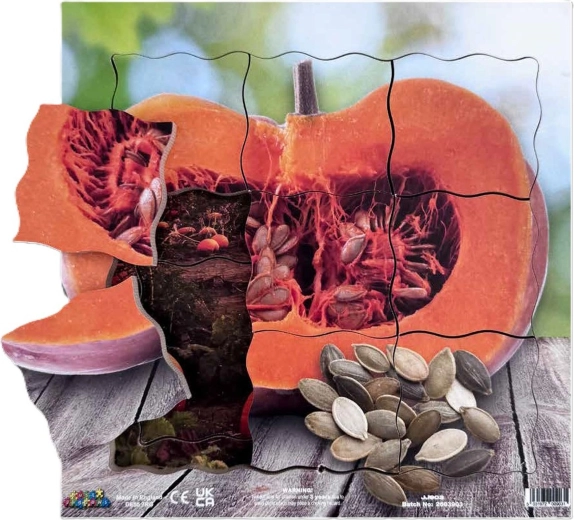 Just Jigsaws κολοκύθα και τα βλαστικά στάδια ανάπτυξής της – ξύλινο πολυστρωματικό παζλ, 19 κομμάτια