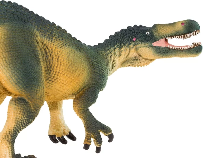 Πιστές λεπτομέρειες του Suchomimus
