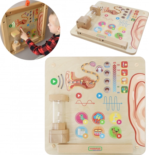 Masterkidz Εκπαιδευτικός Πίνακας Οπτικές Αισθήσεις Montessori