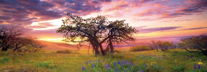 Πανοραμικό παζλ Βελανιδιά στο Columbia Hills State Park 2000 κομμάτια