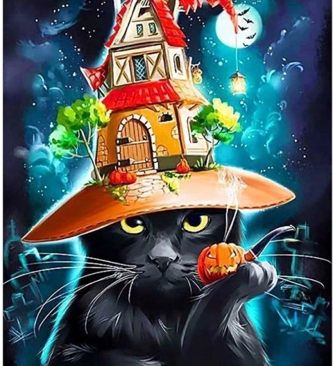 Ζωγραφική με αριθμούς Γάτα με καπέλο του Halloween 40 × 50 cm