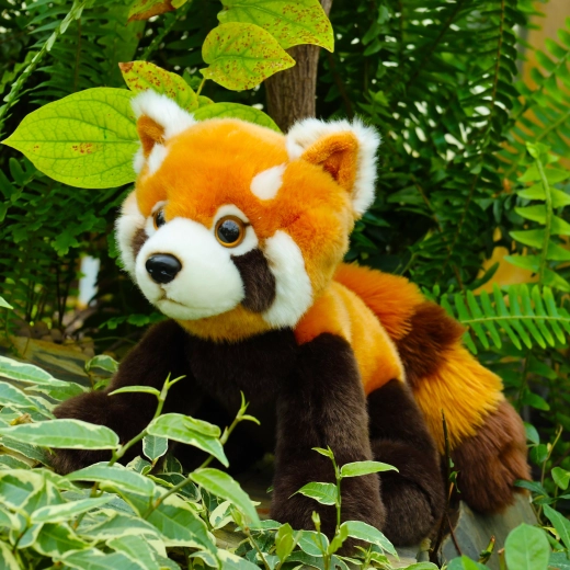 Ρεαλιστικές λεπτομέρειες του κόκκινου πάντα