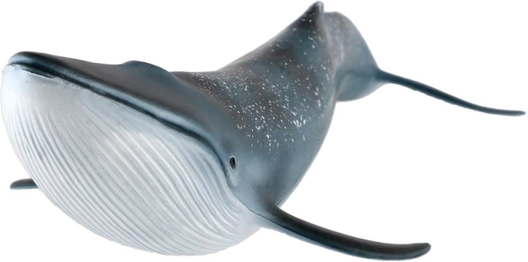 Μέγεθος 27 cm