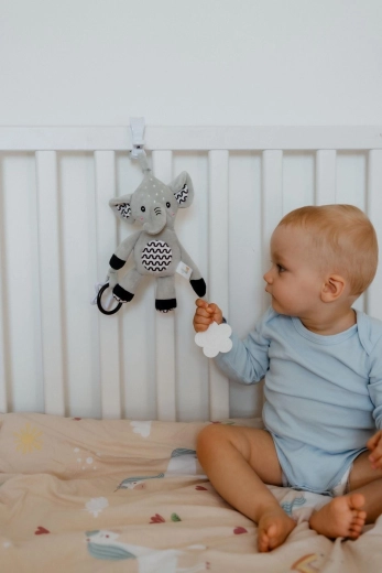 Απαλή κουδουνίστρα και θροΐζοντα αυτάκια