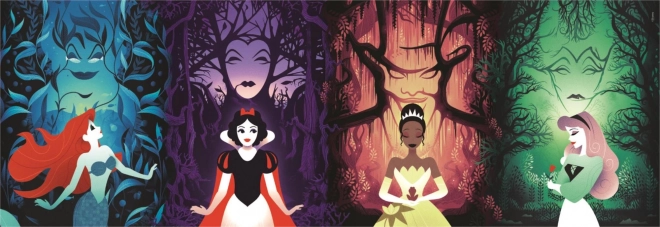 Πανοραμικό παζλ 1000 – DISNEY PRINCESS από την Clementoni