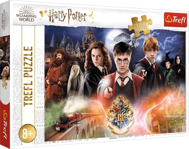 Παζλ HARRY POTTER – 300 κομμάτια