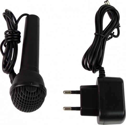 Μικρόφωνο και LED φώτα για περισσότερη διασκέδαση