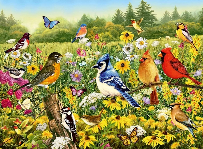 Παζλ Ravensburger Πτητικό λιβάδι 500 κομμάτια