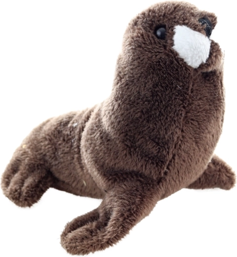 Ιδανικό μέγεθος 13 cm