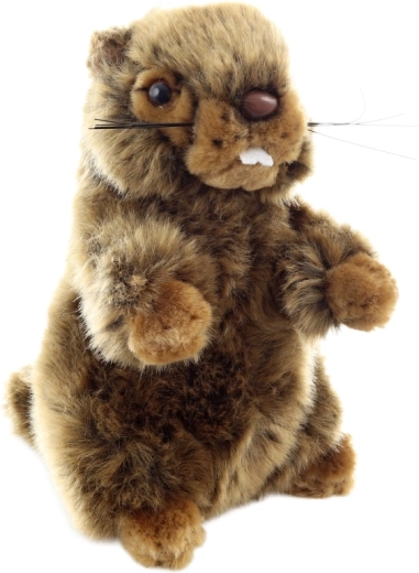 Ασφαλές από τη γέννηση