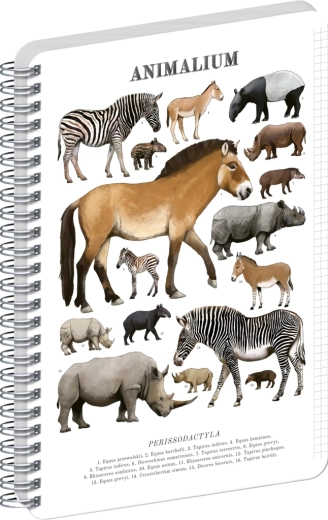 Notique σπιράλ μπλοκ Animalium – μονόπληκτα, A4, καρό