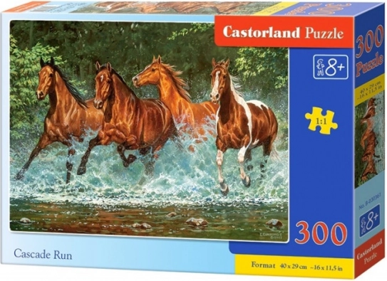 Παζλ 300 κομματιών Cascade Run