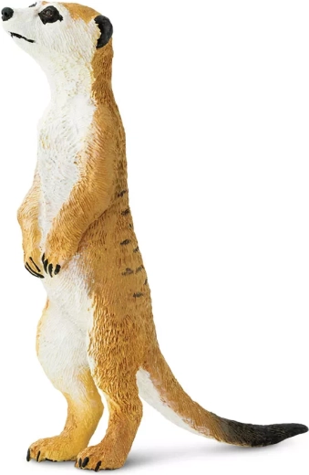 Safari Ltd. φιγούρα σουρικάτας