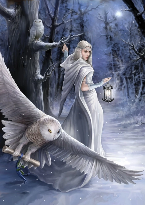 Παζλ Anne Stokes Πůlnoční posel 1000 κομμάτια