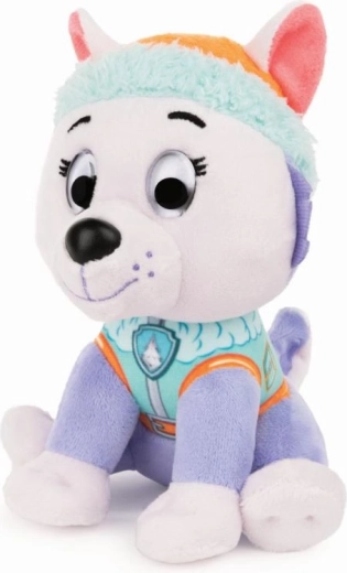 Πιστή απόδοση της σειράς