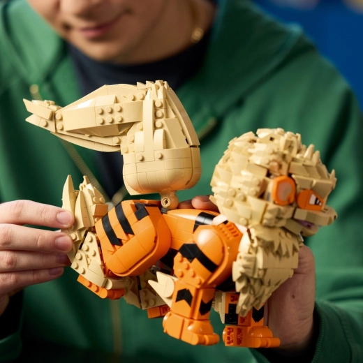 Κατασκευή με την εφαρμογή LEGO Builder