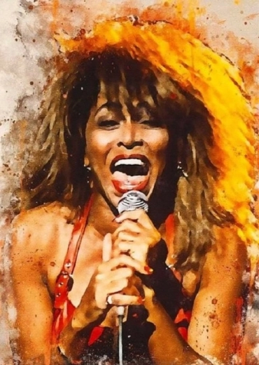Norimpex Ζωγραφική με αριθμούς Tina Turner τραγουδά 40 × 50 cm
