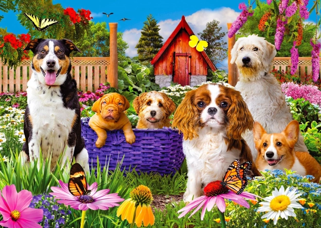Enjoy Puzzle Πατ' Πατρόλ 1000 κομμάτια