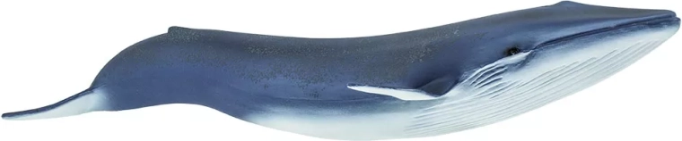 Safari Ltd. φιγούρα γαλάζιας φάλαινας