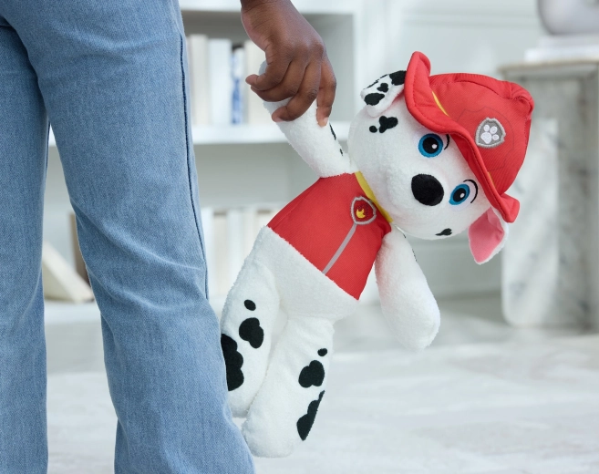 Για τους μικρούς θαυμαστές της Paw Patrol