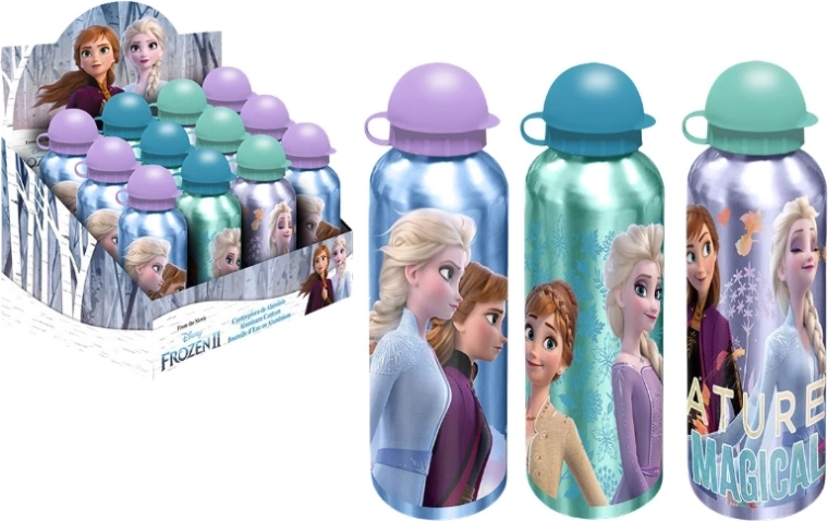Αλουμινένιο μπουκάλι νερού Frozen