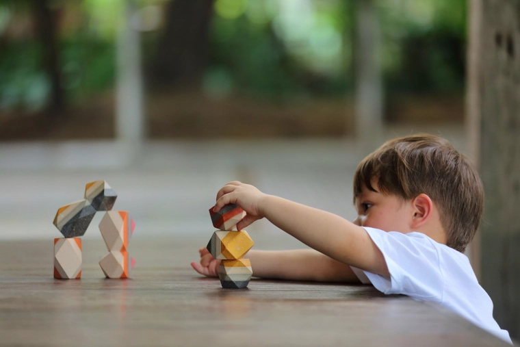 Οικολογική ποιότητα PlanToys