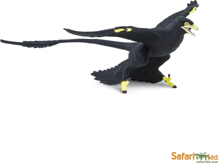 Microraptor Safari Ltd. - 1 τεμ.