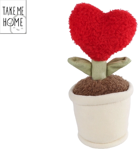 Take Me Home λούτρινο φυτό καρδιά κόκκινο 16,5 cm
