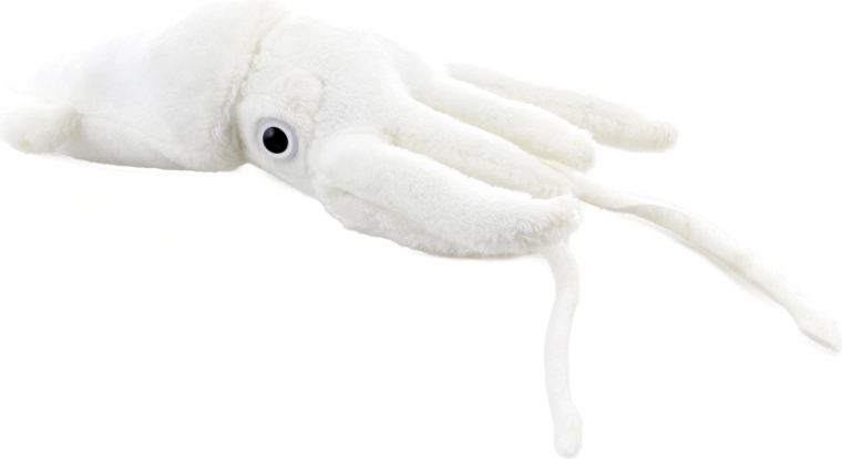 Ρεαλιστικό σχήμα με πλοκάμια