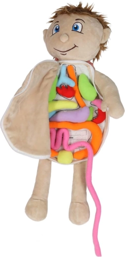 Αφαιρούμενα μαλακά όργανα με βέλκρο